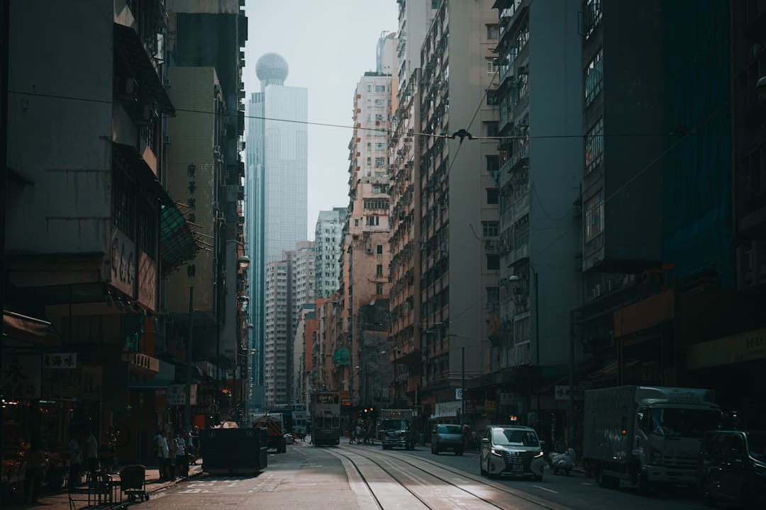吴磊在《东极岛》演什么？